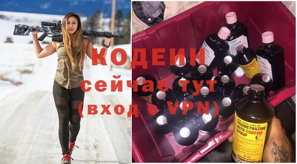 молекула духа Гусь-Хрустальный